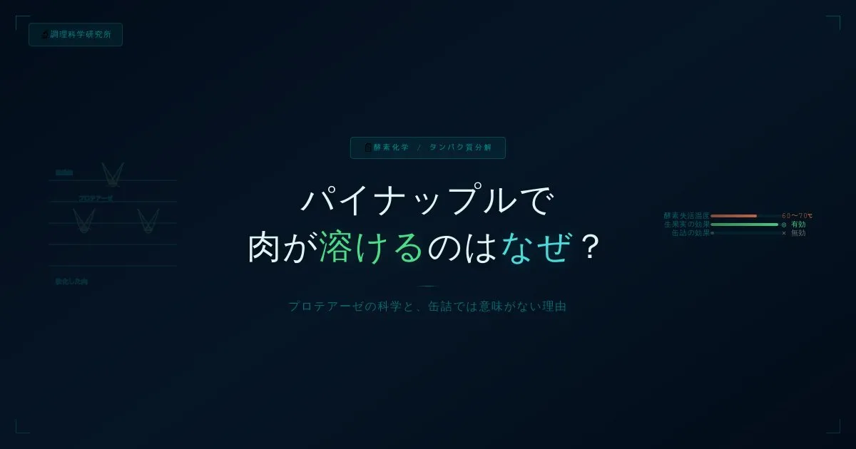 なぜパイナップルで肉が溶けるのか？〜プロテアーゼによるタンパク質分解と、缶詰では意味がない理由〜 - 調理科学研究所シェフによる技術アーカイブ | Chef's Memo